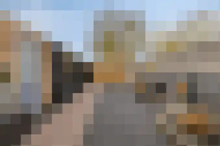 Esdoornlaan 6 Heerhugowaard thumbnail 28