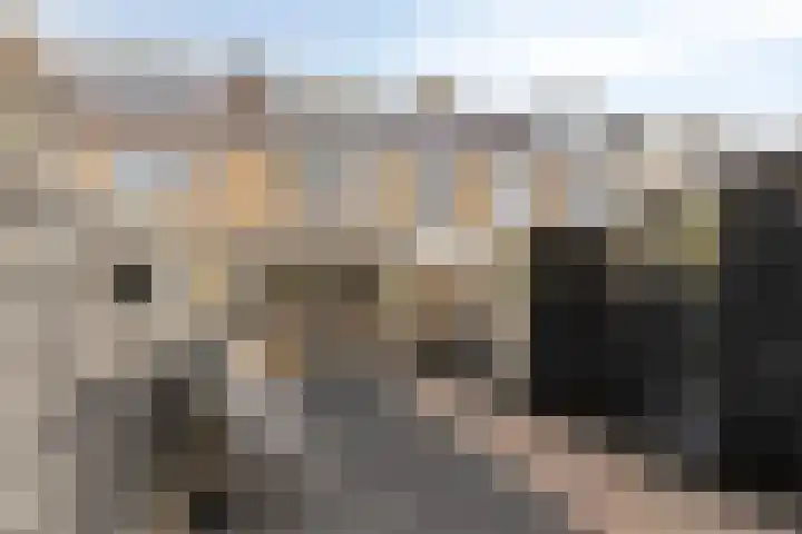 Esdoornlaan 6 Heerhugowaard thumbnail 30