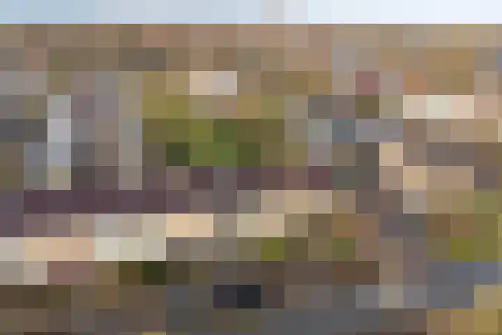 Esdoornlaan 6 Heerhugowaard thumbnail 36