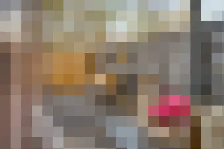 Esdoornlaan 6 Heerhugowaard thumbnail 8