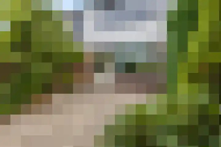 Esdoornlaan 6 Maarn thumbnail 27