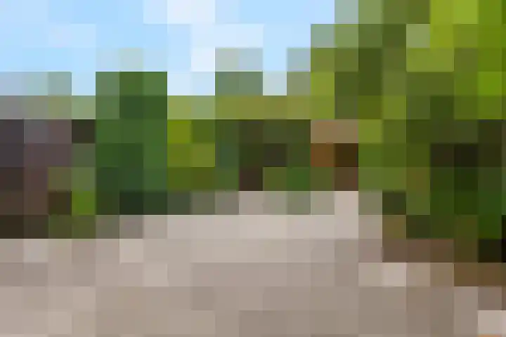 Esdoornlaan 6 Maarn thumbnail 29