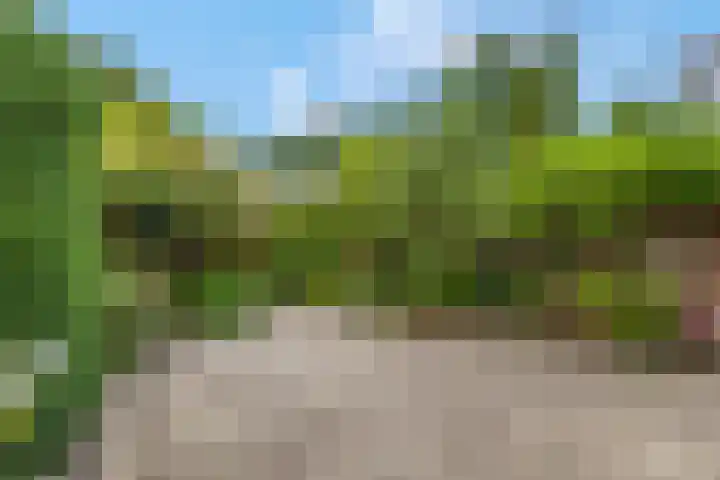 Esdoornlaan 6 Maarn thumbnail 30