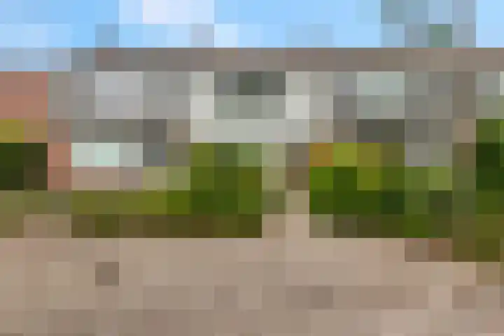 Esdoornlaan 6 Maarn thumbnail 37