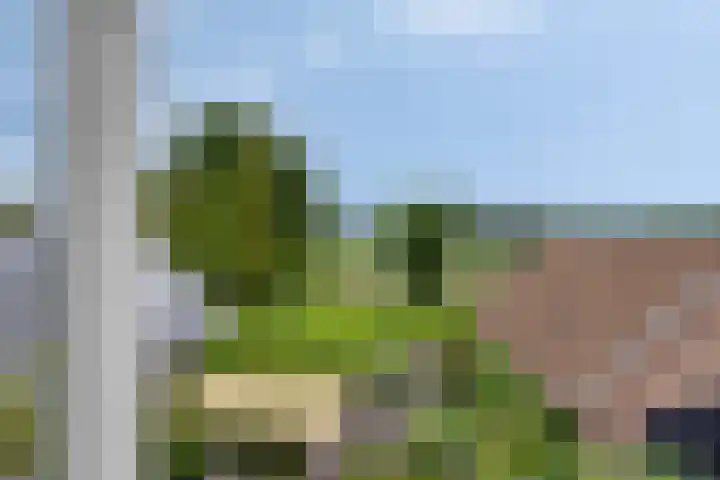 Esdoornlaan 6 Made thumbnail 37