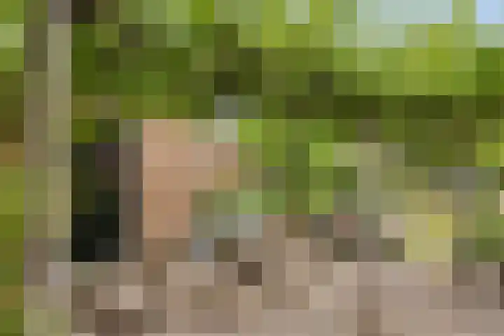 Esdoornlaan 6 Made thumbnail 42