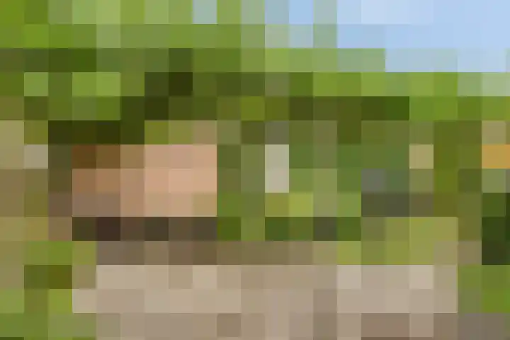 Esdoornlaan 6 Made thumbnail 43