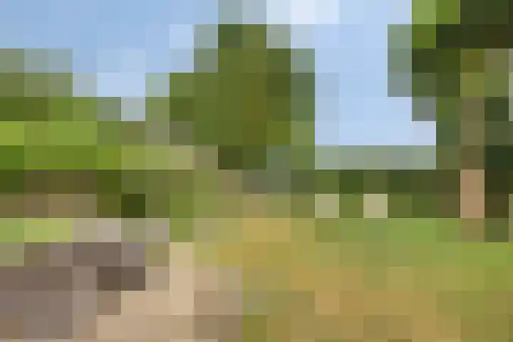 Esdoornlaan 6 Made thumbnail 44