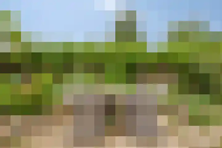 Esdoornlaan 6 Made thumbnail 45