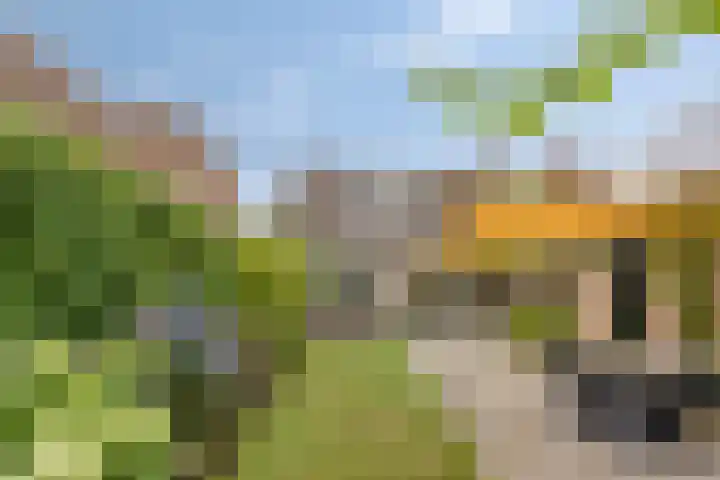 Esdoornlaan 6 Made thumbnail 49