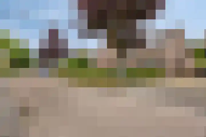 Esdoornlaan 6 Made thumbnail 55