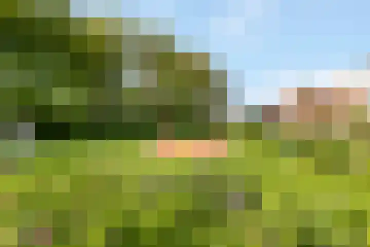 Esdoornlaan 6 Nijkerk thumbnail 31