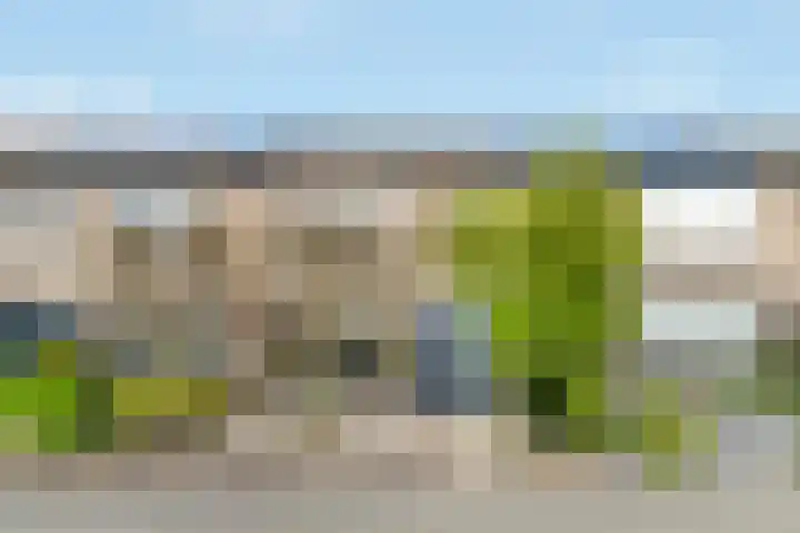 Esdoornlaan 6 Nijkerk thumbnail 36