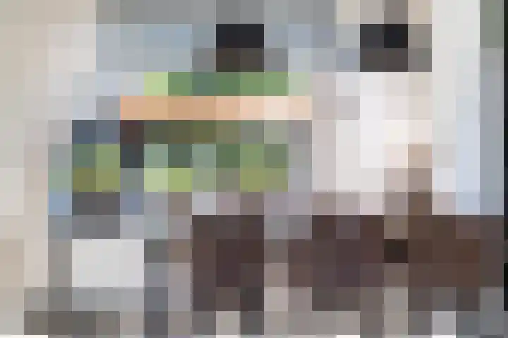 Esdoornlaan 66 Rozenburg thumbnail 11