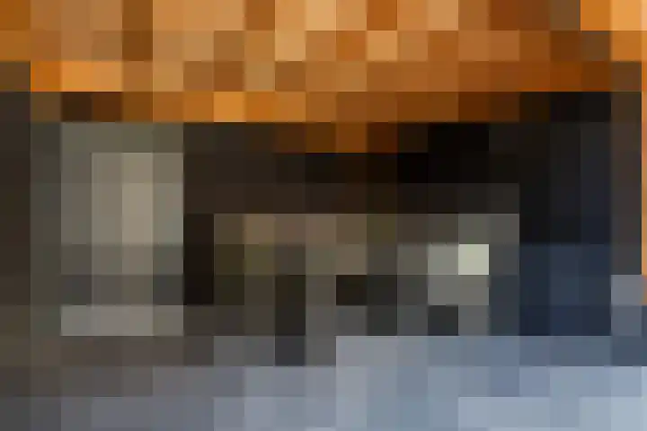 Esdoornlaan 66 Rozenburg thumbnail 17