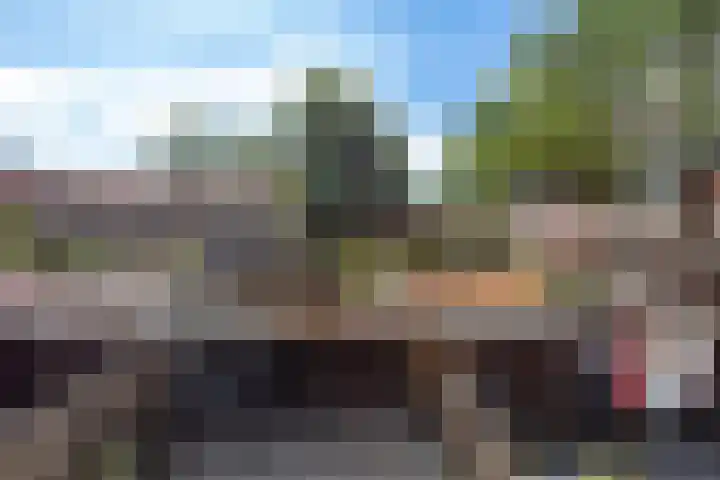 Esdoornlaan 66 Rozenburg thumbnail 25