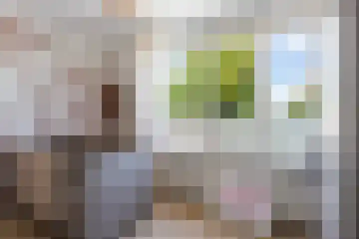 Esdoornlaan 66 Rozenburg thumbnail 28