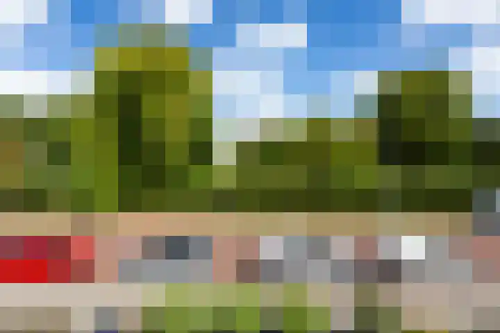 Esdoornlaan 66 Rozenburg thumbnail 29