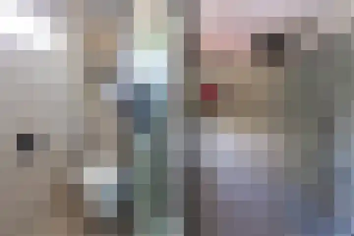 Esdoornlaan 66 Rozenburg thumbnail 32