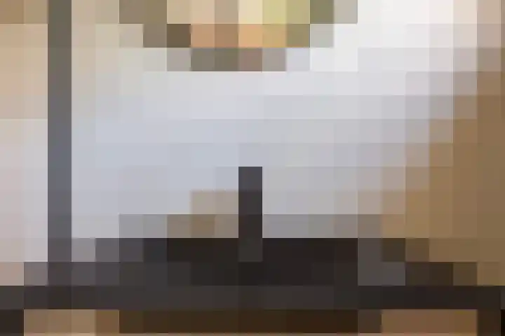 Esdoornlaan 66 Rozenburg thumbnail 33