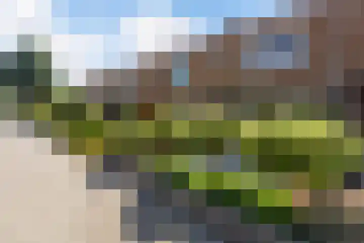 Esdoornlaan 66 Rozenburg thumbnail 39