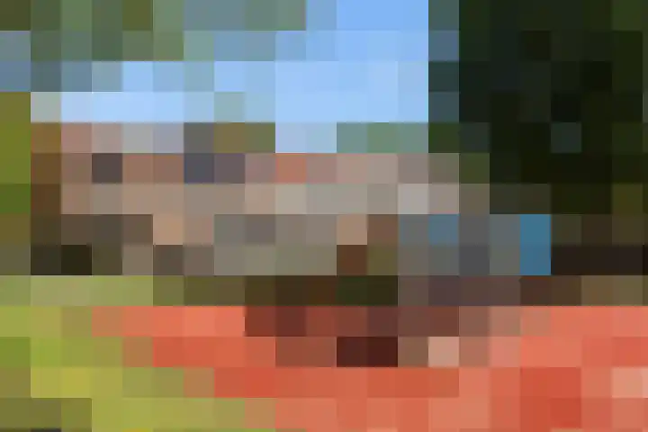 Esdoornlaan 66 Rozenburg thumbnail 40