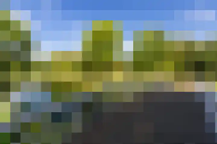 Esdoornlaan 66 Rozenburg thumbnail 41