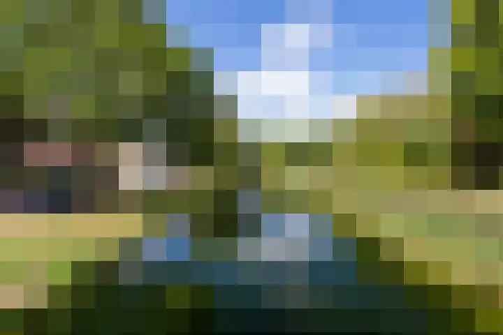 Esdoornlaan 66 Rozenburg thumbnail 42