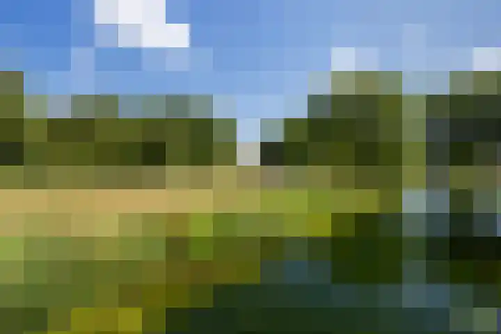Esdoornlaan 66 Rozenburg thumbnail 43