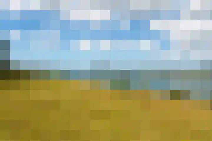 Esdoornlaan 66 Rozenburg thumbnail 44