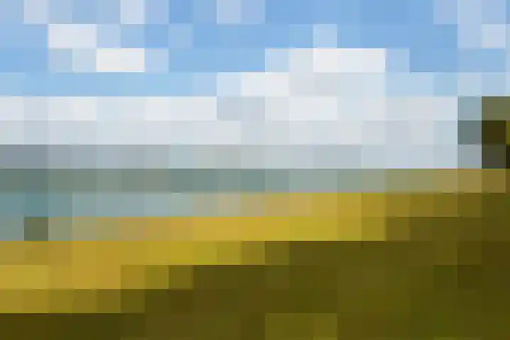 Esdoornlaan 66 Rozenburg thumbnail 45