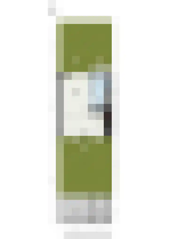 Esdoornlaan 66 Rozenburg thumbnail 49