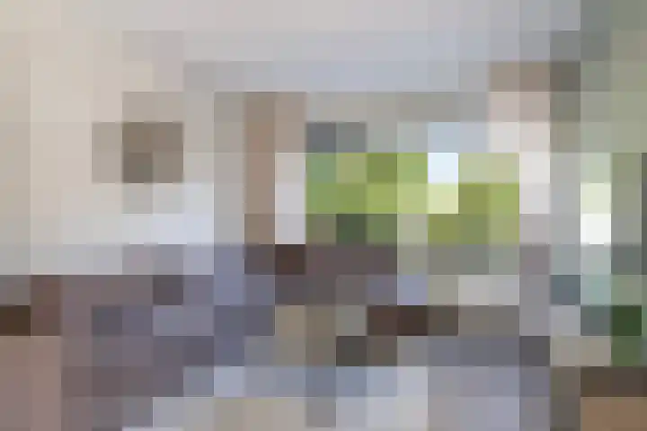 Esdoornlaan 66 Rozenburg thumbnail 5