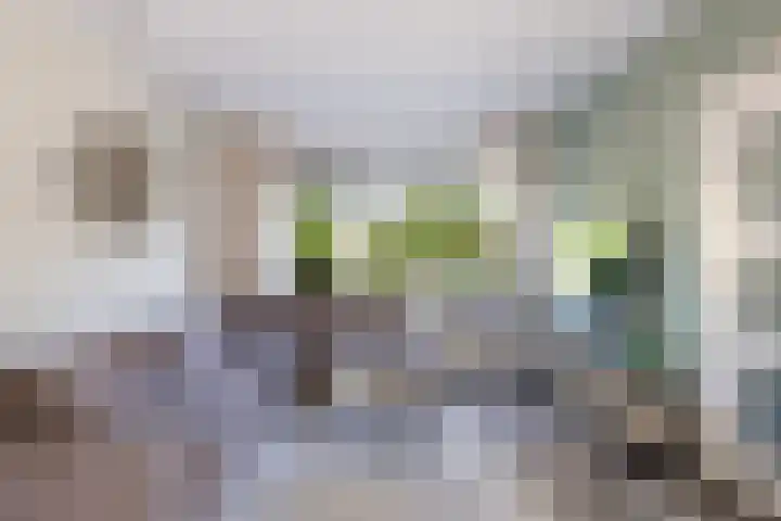 Esdoornlaan 66 Rozenburg thumbnail 6