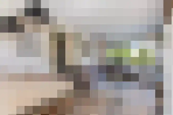 Esdoornlaan 66 Rozenburg thumbnail 9