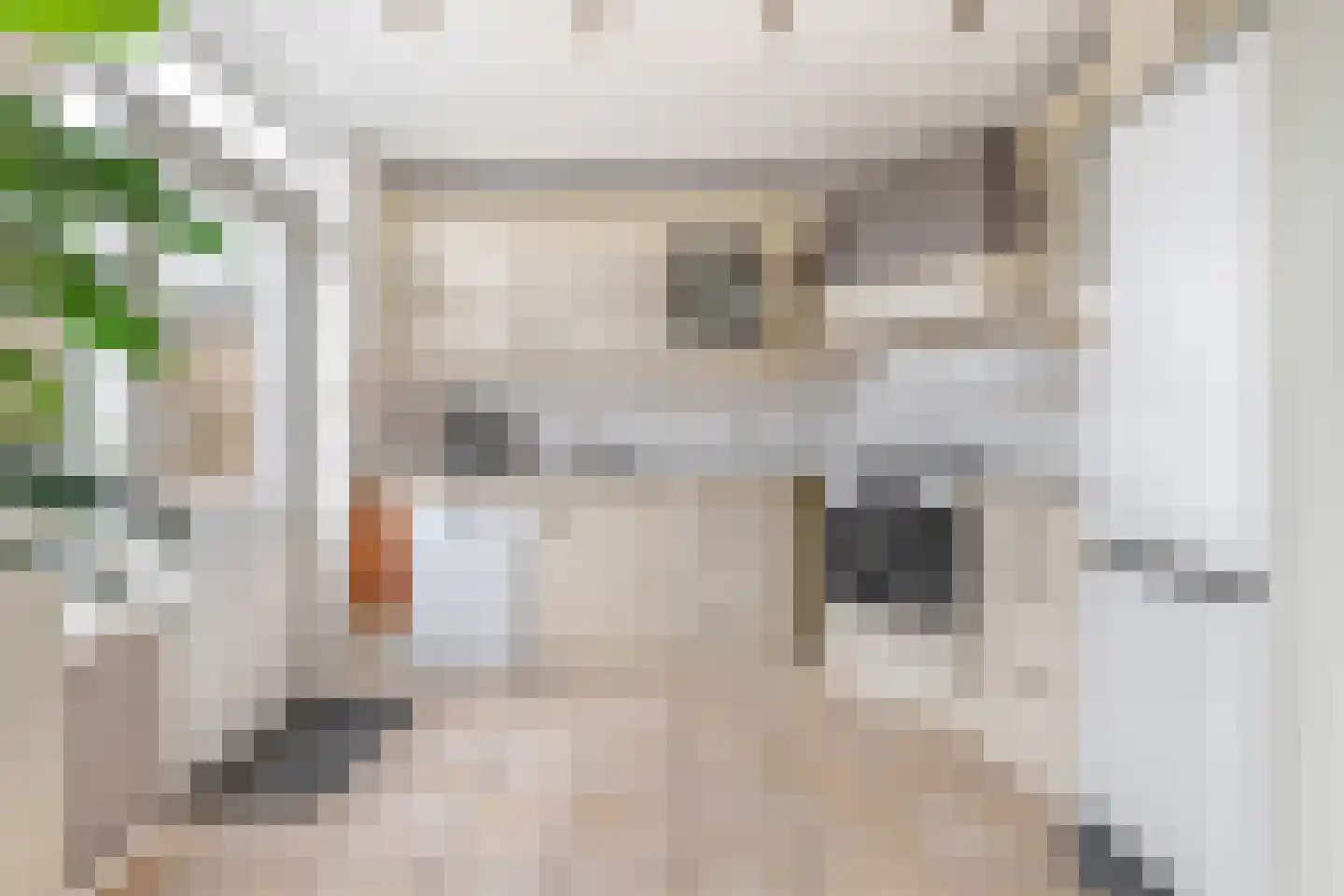 Esdoornlaan 68 Oudorp thumbnail 11