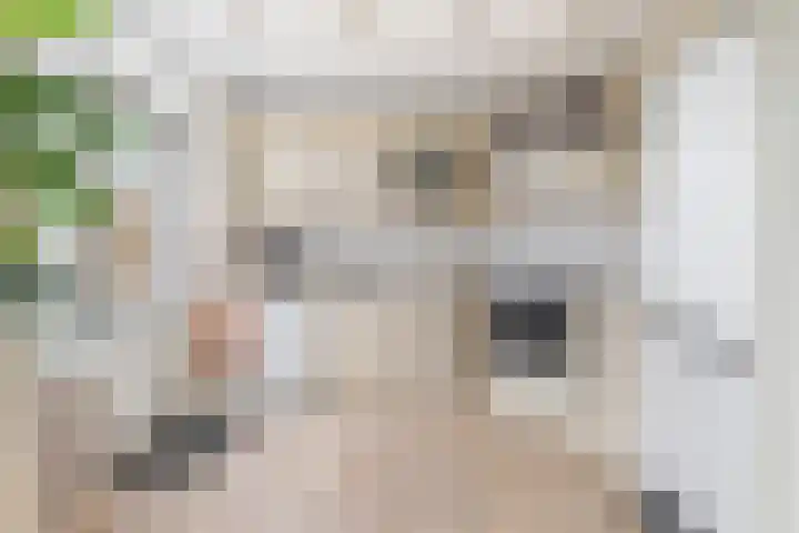 Esdoornlaan 68 Oudorp thumbnail 11