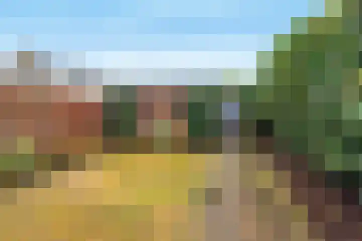 Esdoornlaan 68 Oudorp thumbnail 12