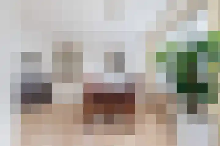 Esdoornlaan 68 Oudorp thumbnail 14