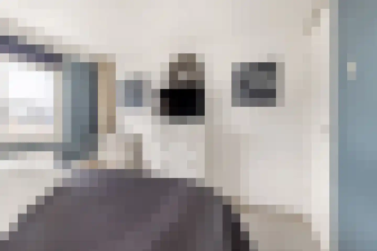 Esdoornlaan 68 Oudorp thumbnail 19