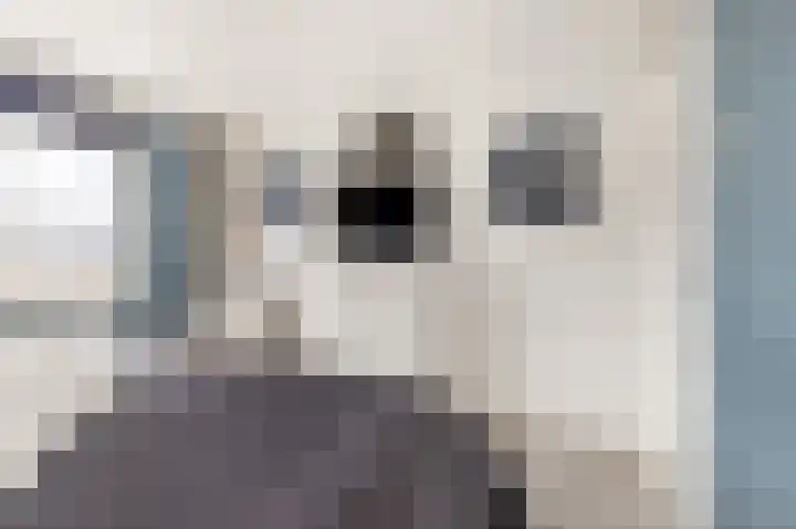 Esdoornlaan 68 Oudorp thumbnail 19