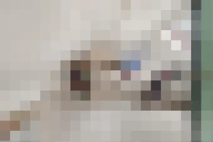 Esdoornlaan 68 Oudorp thumbnail 27