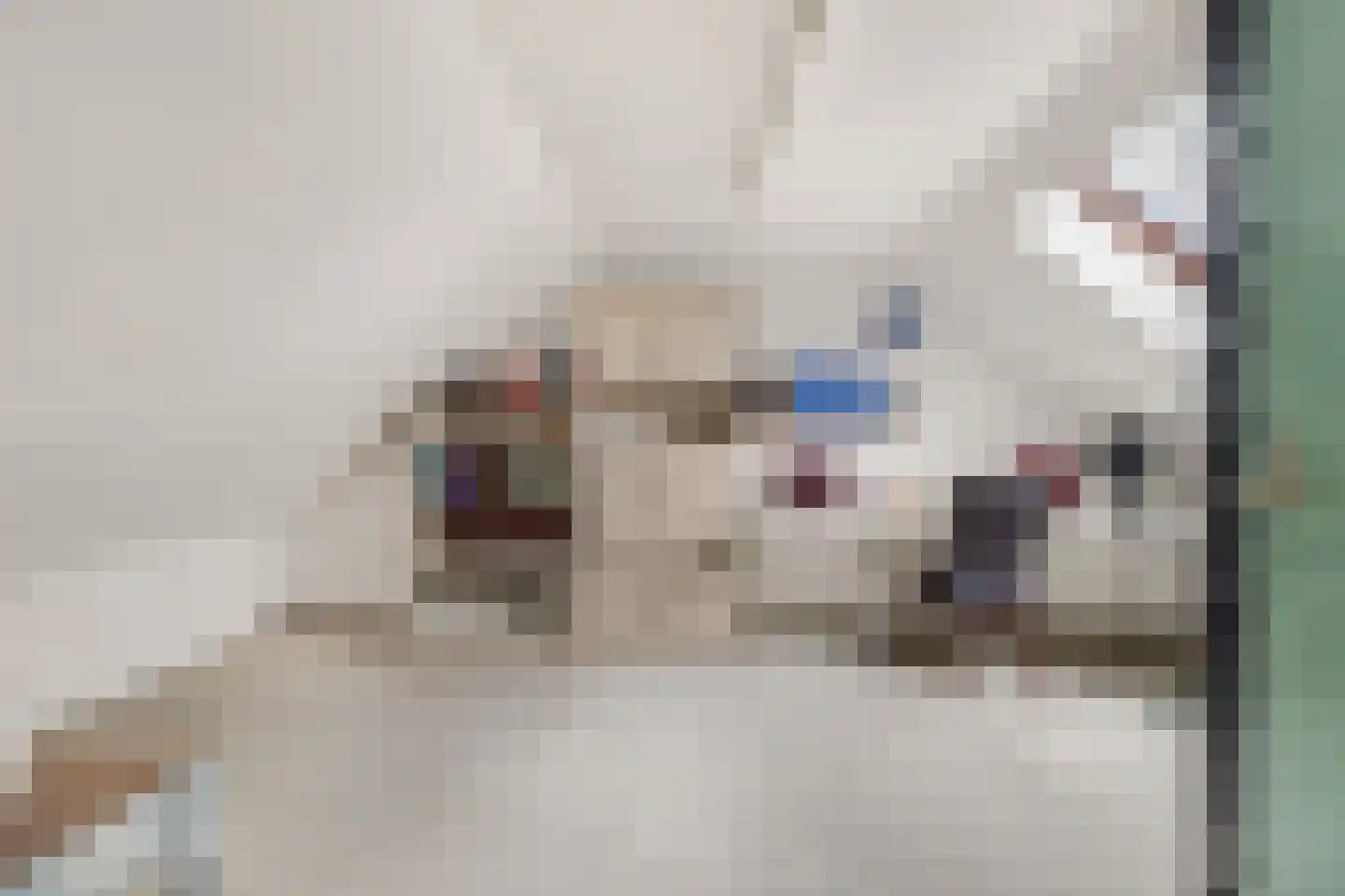 Esdoornlaan 68 Oudorp thumbnail 27