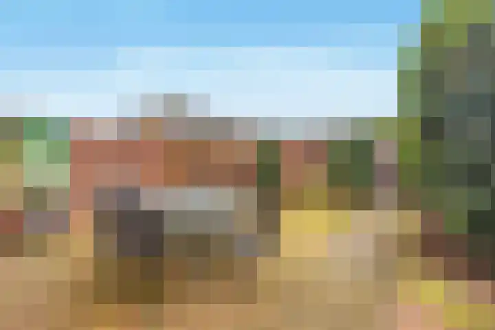 Esdoornlaan 68 Oudorp thumbnail 4