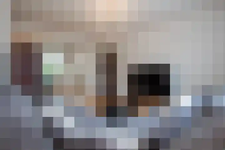 Esdoornlaan 7 Haelen thumbnail 13