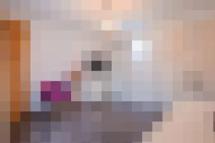 Esdoornlaan 7 Haelen thumbnail 20