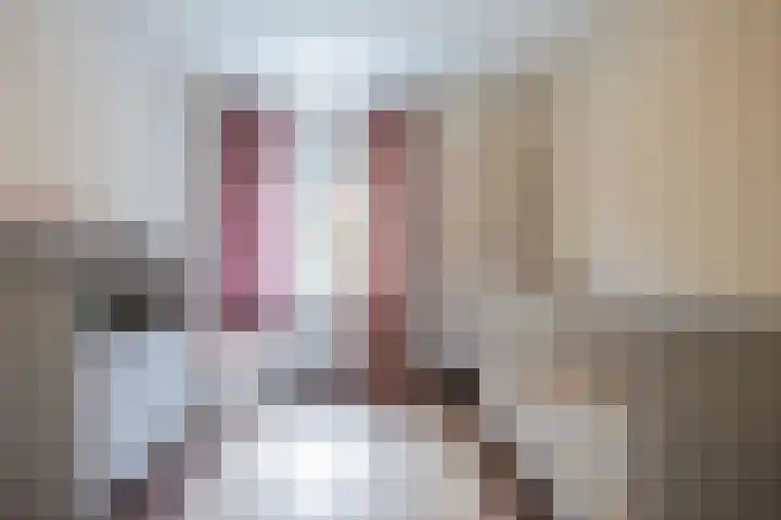 Esdoornlaan 7 Haelen thumbnail 21