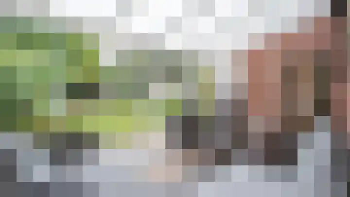 Esdoornlaan 7 Haelen thumbnail 25