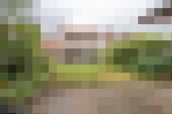 Esdoornlaan 7 Haelen thumbnail 26