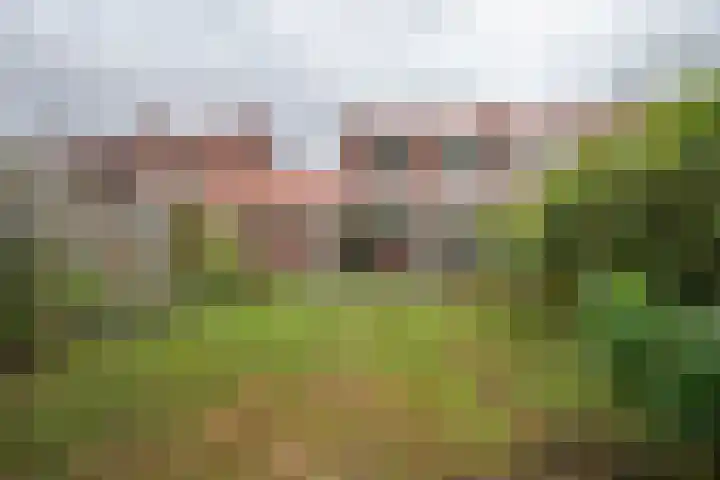 Esdoornlaan 7 Haelen thumbnail 27